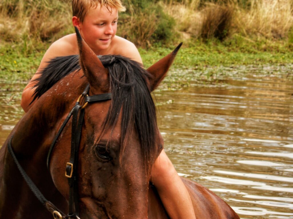 Horse trail riding